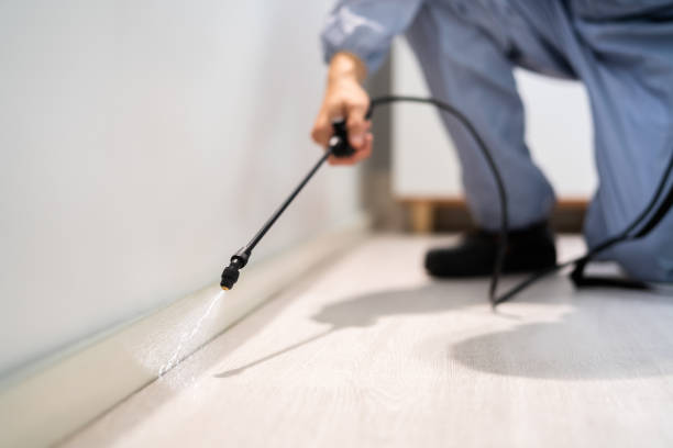 Licensed Pest Control service in Byron, CA - Show Me Pest Control
